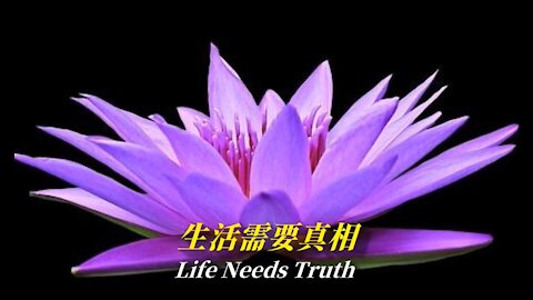 Life Needs Truth | Truth Media