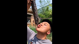 Video Viral Eating Honey