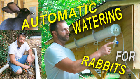 rabbit self watering system