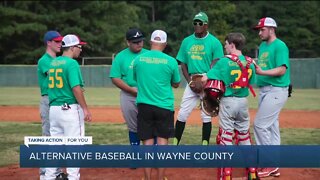 Alternative Baseball in Wayne County
