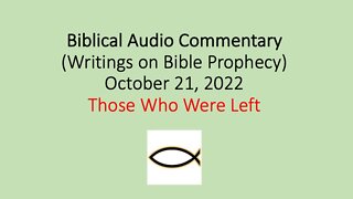 Biblical Audio Commentary - Those Who Were Left