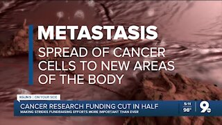 Funding for breast cancer research drastically reduced due to coronavirus