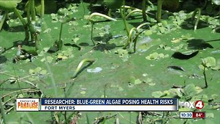 Experts discuss health effects from toxic algae blooms