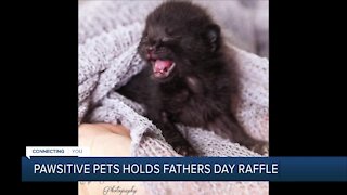 Pawsitive Connections Hosts Raffle Fundraiser