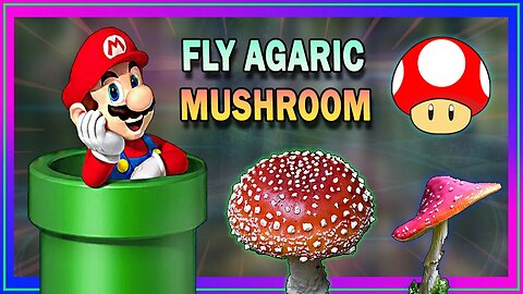 𝗠𝗮𝗿𝗶𝗼 𝗠𝘂𝘀𝗵𝗿𝗼𝗼𝗺 𝗜𝗻 𝗥𝗲𝗮𝗹 𝗟𝗶𝗳𝗲!? Amanita Muscaria Magic Mushroom Explained! (Fly Agaric) 🍄