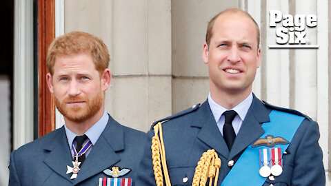 Prince Harry says he has tried to help 'trapped' brother Prince William