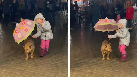 Little girl holds umbrella over stray dog in the rain