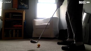 Une balle de golf lancée du 1er étage atterrit dans un verre