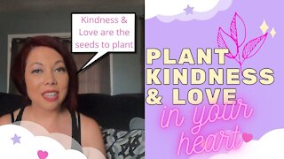 Wisdom & Life Lessons: Plant Kindness and Love in your Heart