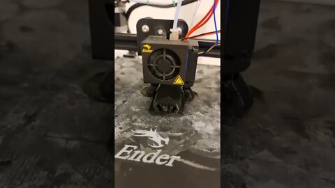 3D Printer Truth!