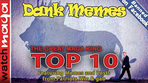 The Great MAGA King: TOP 10 MEMES