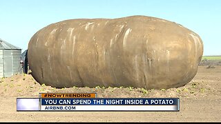 Potato hotel