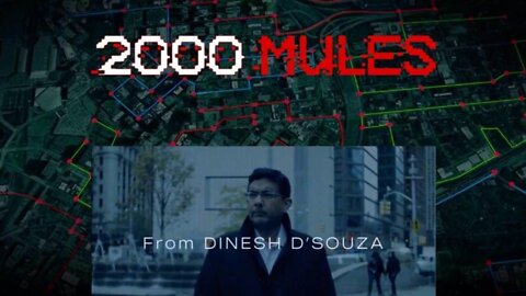 DINESH D'SOUZA & 2000 MULES Exposing Election Fraud | LIVE MON 5/16 @ 4pm ET With Michele Swinick