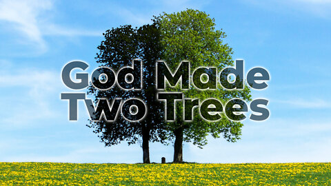 "God Made Two Trees" - February 6, 2022