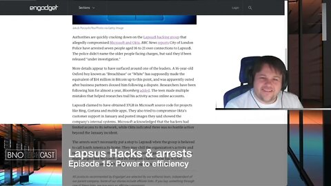 Lapsus Hacks & arrests