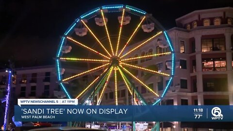 Ferris wheel joins lit-up Sandi tree on Clematis Street