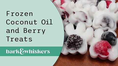 Frozen Coconut Oil and Berry Treats