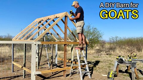 Building a Goat Barn - The Goat Project Part 3