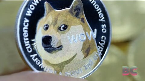 Investors file insider trading suit for Dogecoin