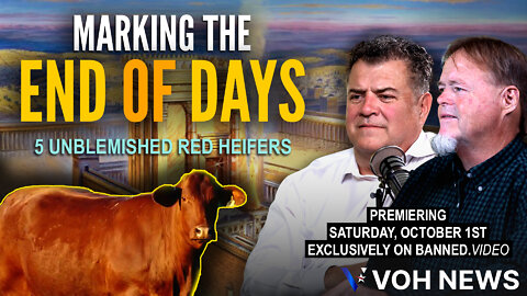 Trailer | 5 Texas Red Heifers - Marking The End of Days | #VOHRadio #VOHNews