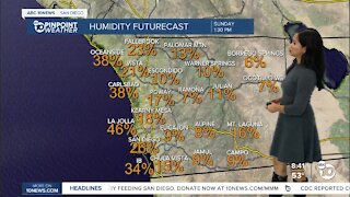 ABC 10News Pinpoint Weather for Sun. Nov. 28, 2021