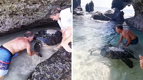 Heroes Save Giant Turtle Trapped In Rope