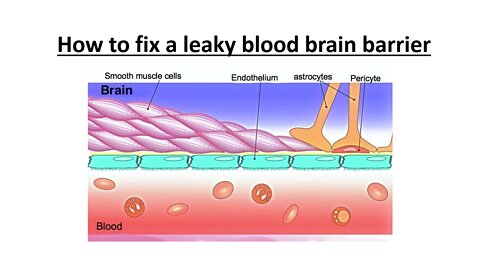 Blood Brain Barrier Disruption - Natural Treatment Options