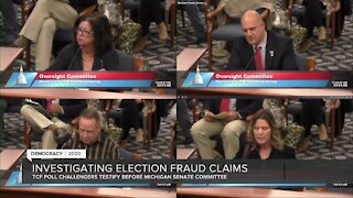 Michigan Legislature looking at allegations of election fraud