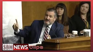 Ted Cruz Interrogates Mayorkas Over 'Biden Cages' - 5037