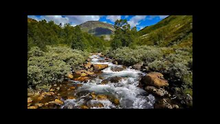 3hr. Relaxing river Sounds - Mountain River, Nature Sounds.