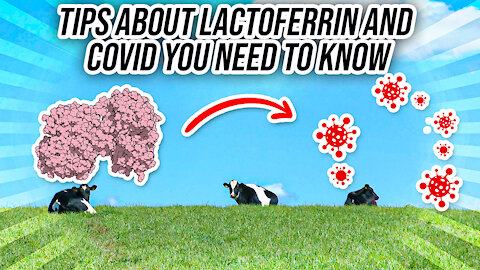 Lactoferrin and COVID-19 - What You Need To Know