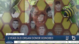 2-year-old organ donor remembered