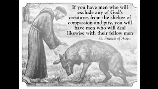 Animals Do Have Souls (according to the bible)