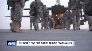 Democrats back free tuition for fallen service members' kids
