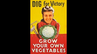 Bethany's Victory Garden: April 2021