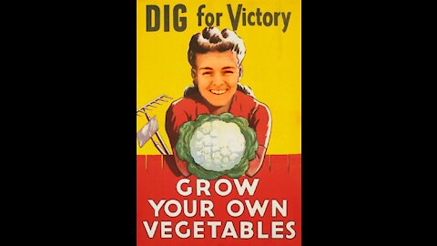 Bethany's Victory Garden: April 2021