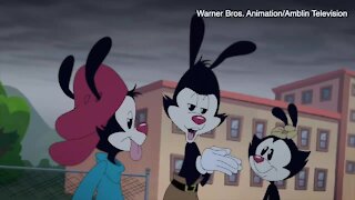 Cult classic cartoon 'Animaniacs' returns after 22 years