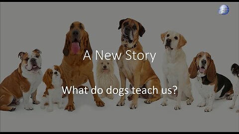 Aunt Marilyn : Children's Story : What do dogs teach us?