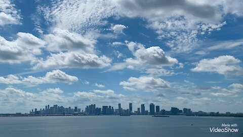 🇺🇸🦅🇺🇸 Sylvia Miami : Miami, la réalité sur place...
