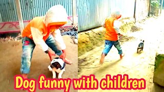 Dog new funny with children