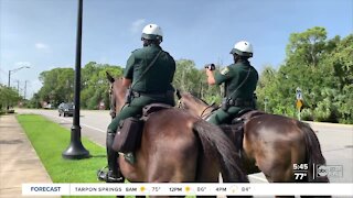 Ride along: Sarasota County’s Mounted Patrol Unit