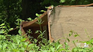 Neighbors concerned about illegal dumping in the Rosemont neighborhood