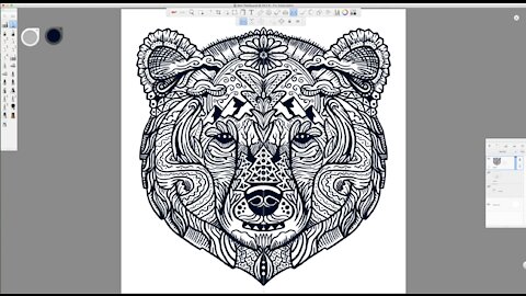 Grizzly Bear Face Line Art Time-Lapse Drawing