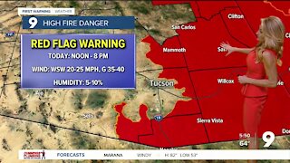 Strong winds and high fire danger