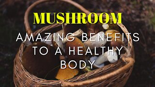 The Amazing Health Benefits of Mushroom