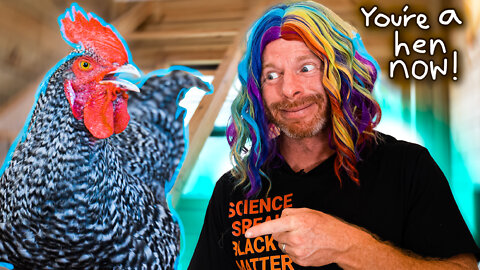 How to Transition a Rooster to a Hen!