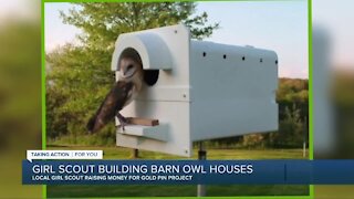 Oxford police helping local Girl Scout raise money to build barn owl houses