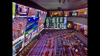 FIRST LOOK: Brian Musburger describes vision behind world's largest sportsbook at Circa