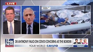 Fauci Is Silent On COVID Cases At Border