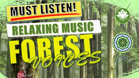 Voices From The Forest | Instant Results [Must Listen!!]